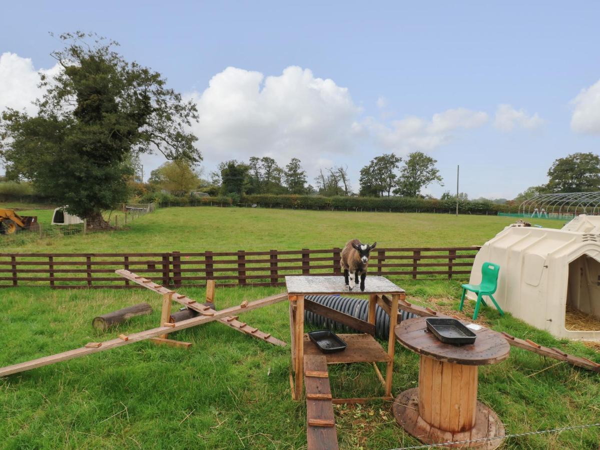 Villa The Pod At Bank House Farm Stafford Esterno foto